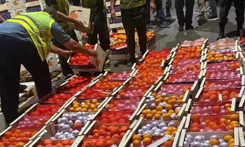 إحباط تهريب أزيد من 4 أطنان من الشيرا داخل شحنة فواكه