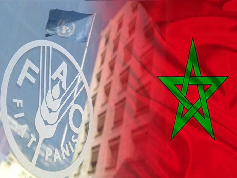 المغرب يضمن مقعده مجددا في مجلس “الفاو” حتى 2029 اعترافا بدوره في الأمن الغذائي