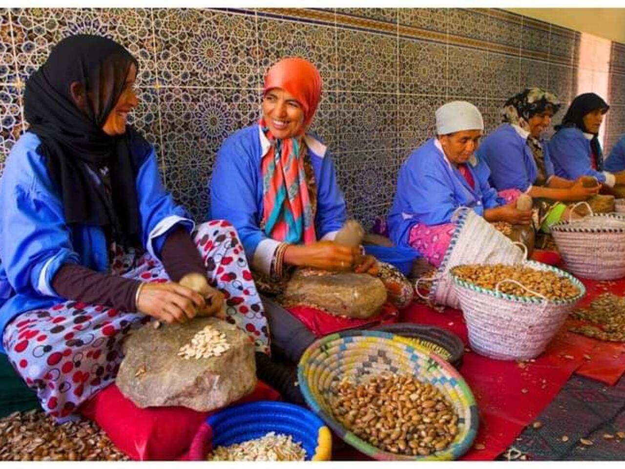 قطاع التعاونيات بالمغرب: 764,000 عضو و60% من المشاريع لصالح النساء
