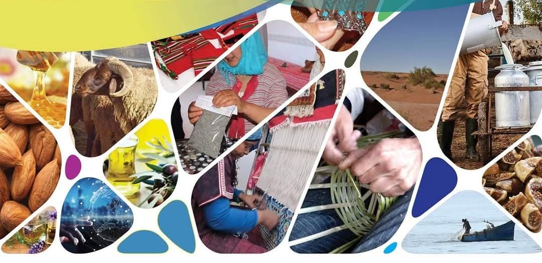 أرقام الاستثمار بجهة الشرق: 2874 شركة جديدة في ظرف 5 أشهر و51% منها في قطاع التجارة