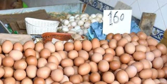 أسعار البيض تواصل الارتفاع رغم موجة الحر واستياء واسع في صفوف المستهلكين