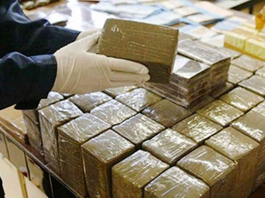 إحباط تهريب دولي للمخدرات وحجز أزيد من طن و900 كلغ من الشيرا