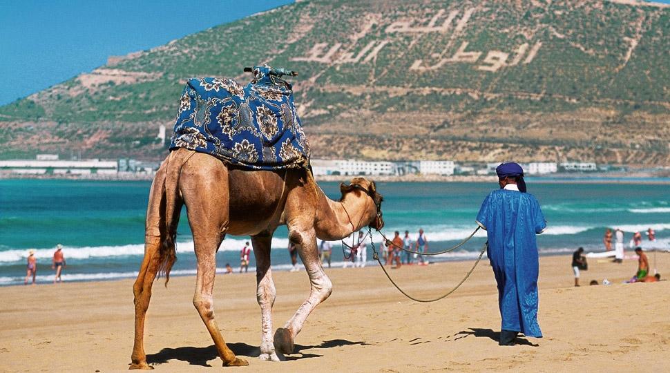 السياحة المغربية تسجل أرقاما قياسية بـ11,6 مليون سائح وإيرادات تتجاوز 54 مليار درهم