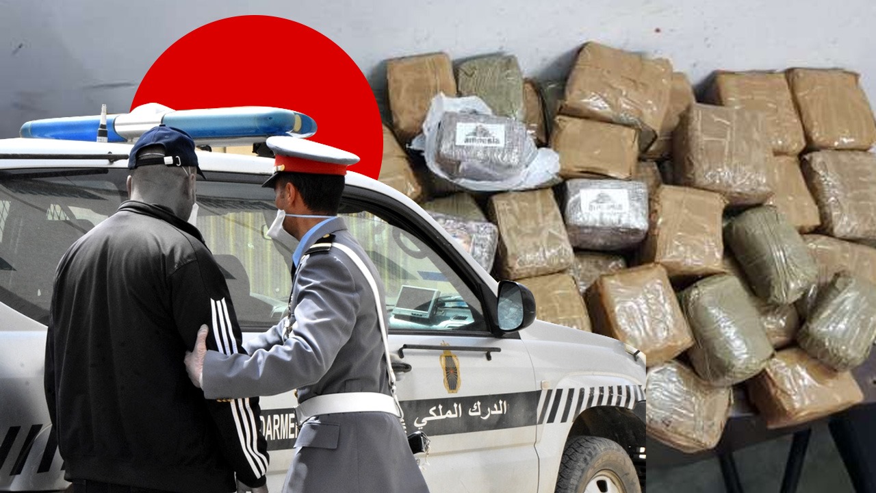 الدرك يحبط تهريب طن ونصف من الكيف وسط جبال تارودانت