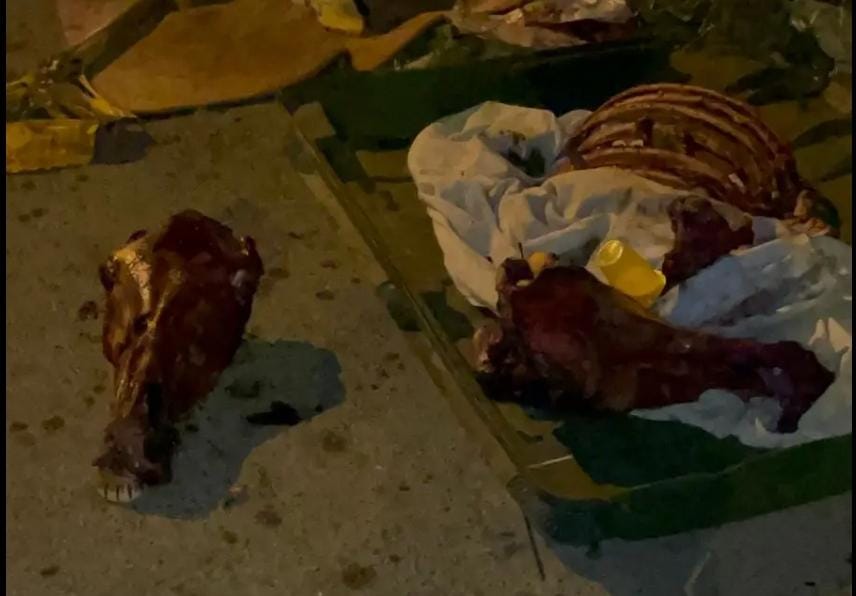 العثور على بقايا حمار وسط حي سكني يستنفر السلطات