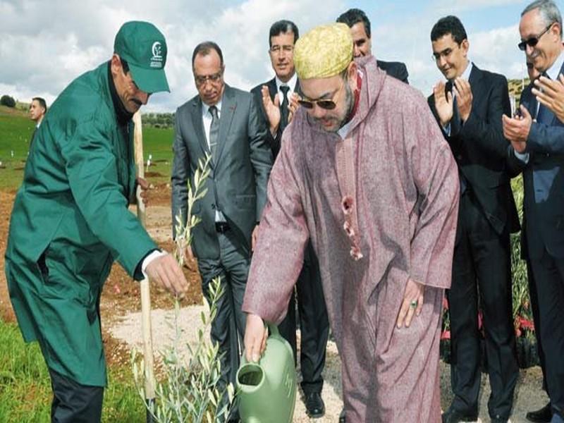 دبلوماسية مناخية بقيادة ملكية.. المغرب يعزز حضوره في “كوب 30”