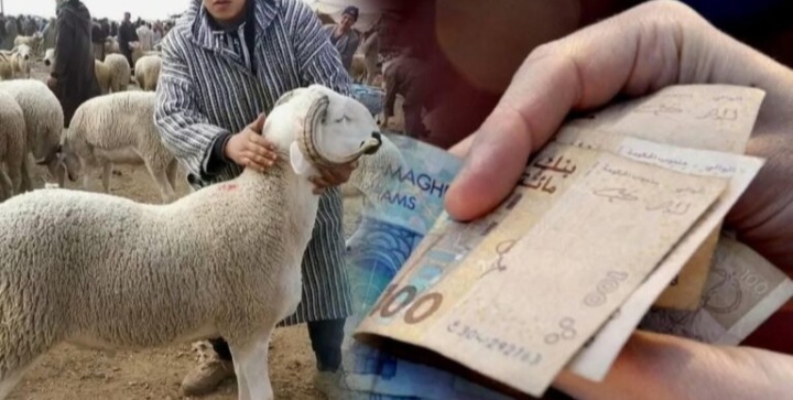 استفادة أكثر من 756 ألف مربٍّ من برنامج دعم القطيع وصرف 3.1 مليارات درهم