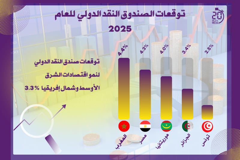 توقعات الصندوق النقد الدولي لعام 2025