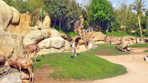 حديقة عين السبع تعود للحياة بالدار البيضاء باستثمار 250 مليون درهم
