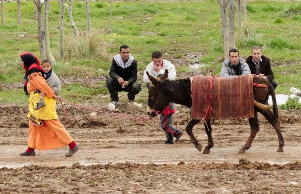 فرص الشغل بالوسط القروي بين محدودية البرامج وواقع الهشاشة