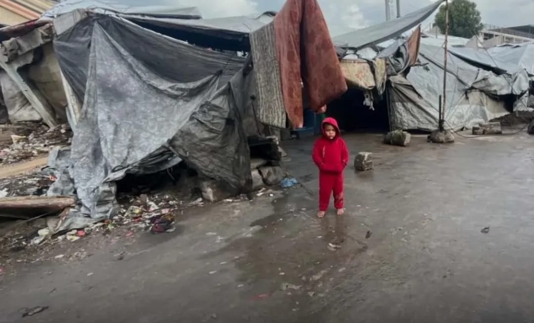 غزة تحت البرد والنزوح: الأمم المتحدة تحذر من كارثة إنسانية ومليون شخص بحاجة لمأوى عاجل