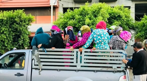 حقوق وحماية المرأة العاملة: برنامج جديد لتعزيز الترافع والبحث الميداني سنة 2026