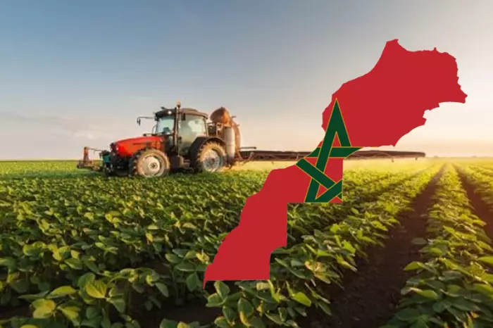 تحسن الإنتاج الفلاحي ينعش آمال السوق ويعزز مؤشرات الأمن الغذائي