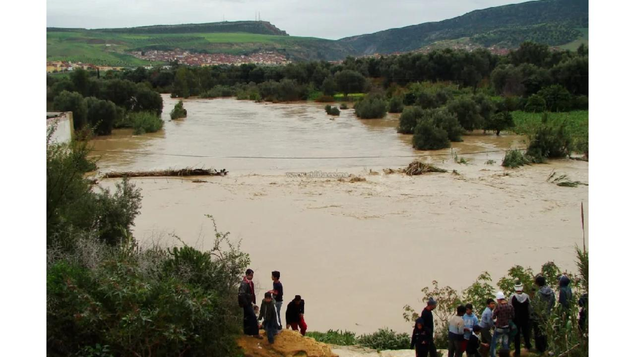 خسائر فادحة في قطاع الحوامض بسبب فيضانات الغرب واللوكوس.. مطالب بتدخل حكومي عاجل لدعم الفلاحين
