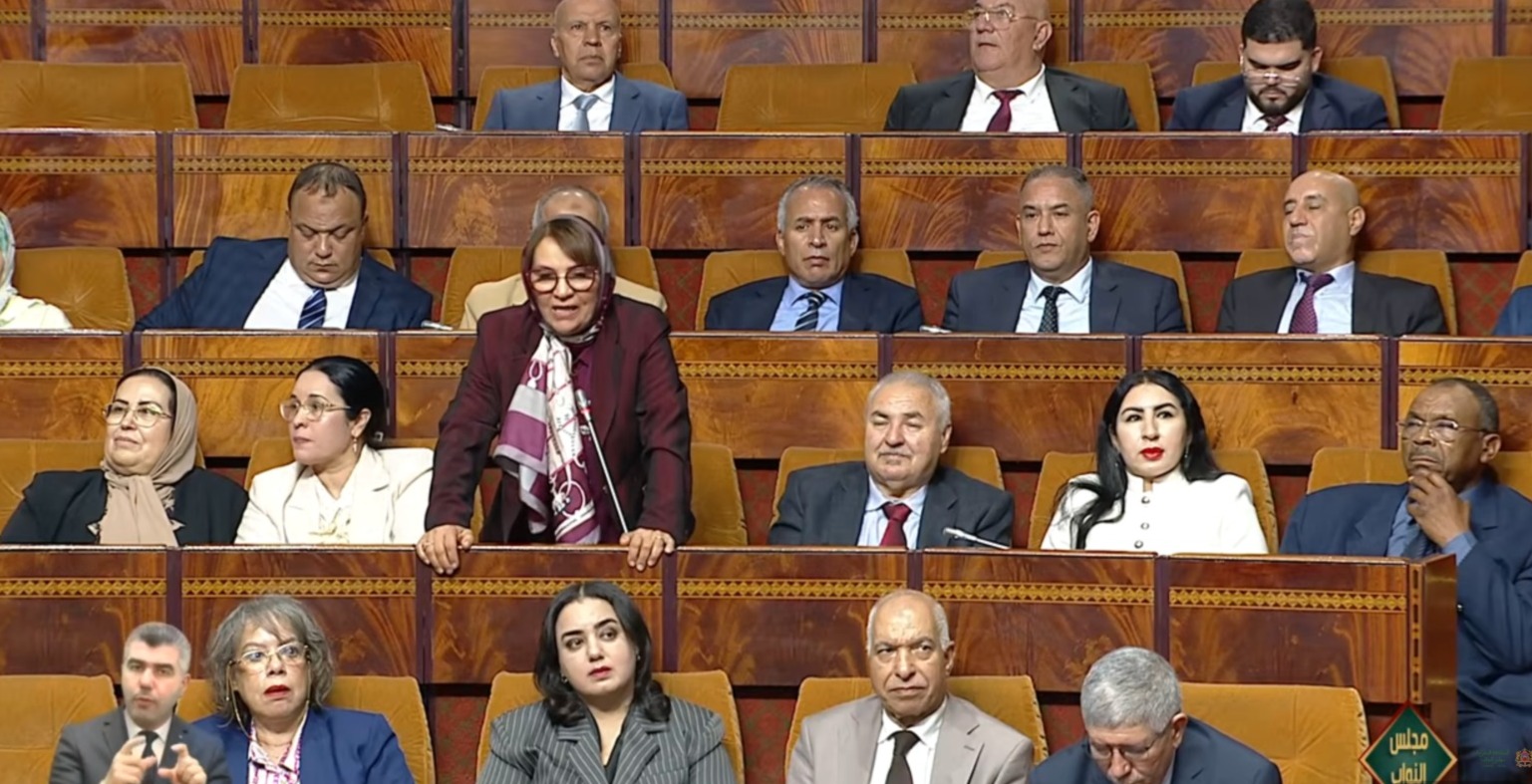 حورية ديدي تثير بمجلس النواب تحديات تنزيل قانون الشيك الجديد بالمغرب