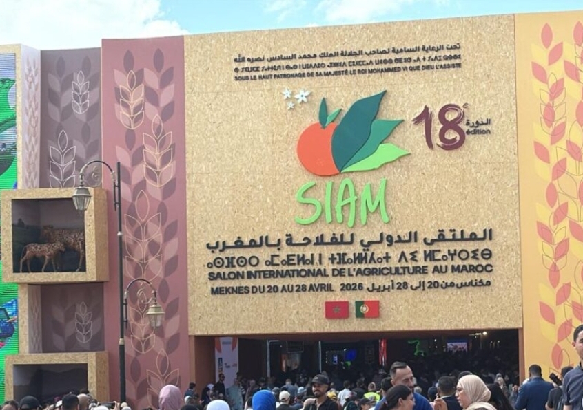 مكناس تستقطب أزيد من 2.1 مليون زائر خلال ملتقى الفلاحة 2026