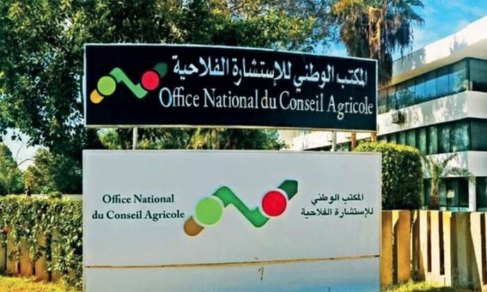 مهرجان اللوز بتافراوت 2026.. دعم الفلاحين وتعزيز سلسلة الإنتاج في قلب استراتيجية “الجيل الأخضر”