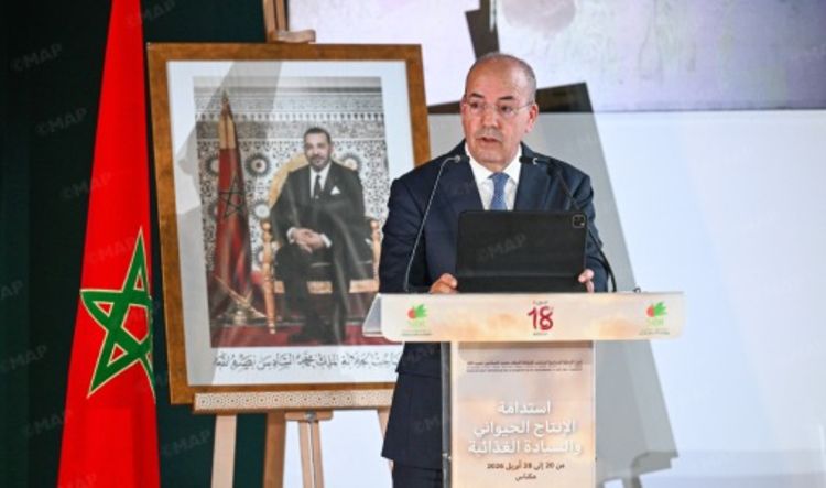 وزير الفلاحة: التعليم الفلاحي رهان حكومي لتعزيز السيادة الغذائية بالمغرب