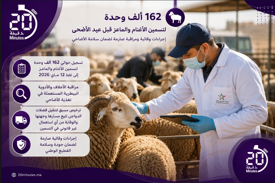 تسجيل 162 ألف وحدة لتسمين الأغنام والماعز بالمغرب قبل عيد الأضحى