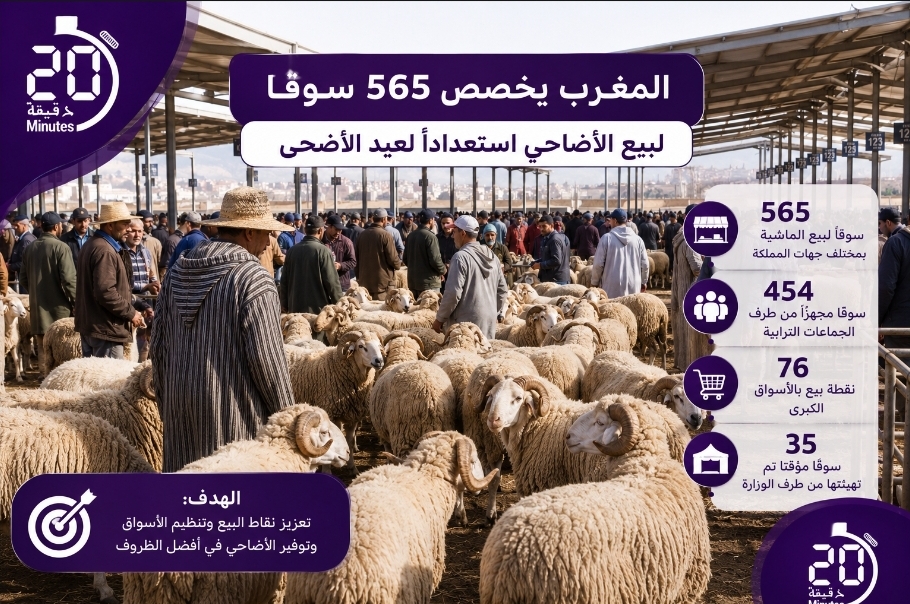 المغرب يخصص 565 سوقًا لبيع الأضاحي استعدادًا لعيد الأضحى