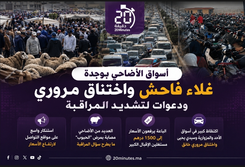 موجة غلاء غير مسبوقة بأسواق الأضاحي بوجدة.. ومطالب بالتصدي للمضاربة ومراقبة صحة الماشية