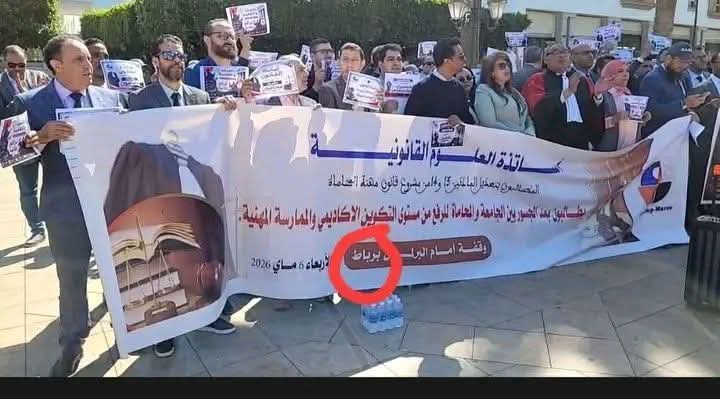 جدل وسخرية ترافق احتجاج أساتذة القانون للمطالبة بولوج المحاماة