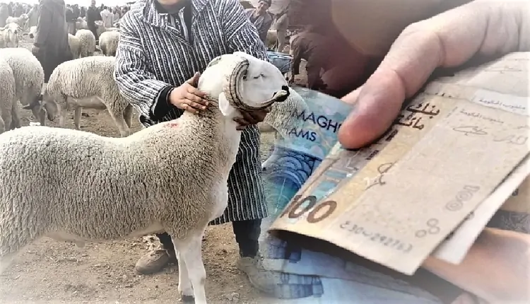 إجراءات جديدة لضبط أسواق أضاحي العيد وحماية المواطنين من ارتفاع الأسعار