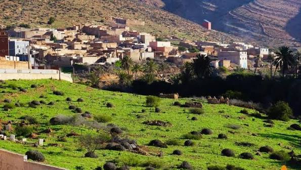 رغم مؤهلاتها البيئية.. واحة أكوك لا تزال خارج برامج التنمية
