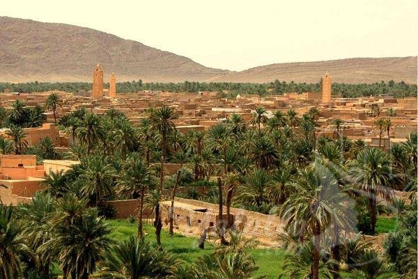 14.7 مليون درهم لدعم 53 تعاونية بإقليم فجيج