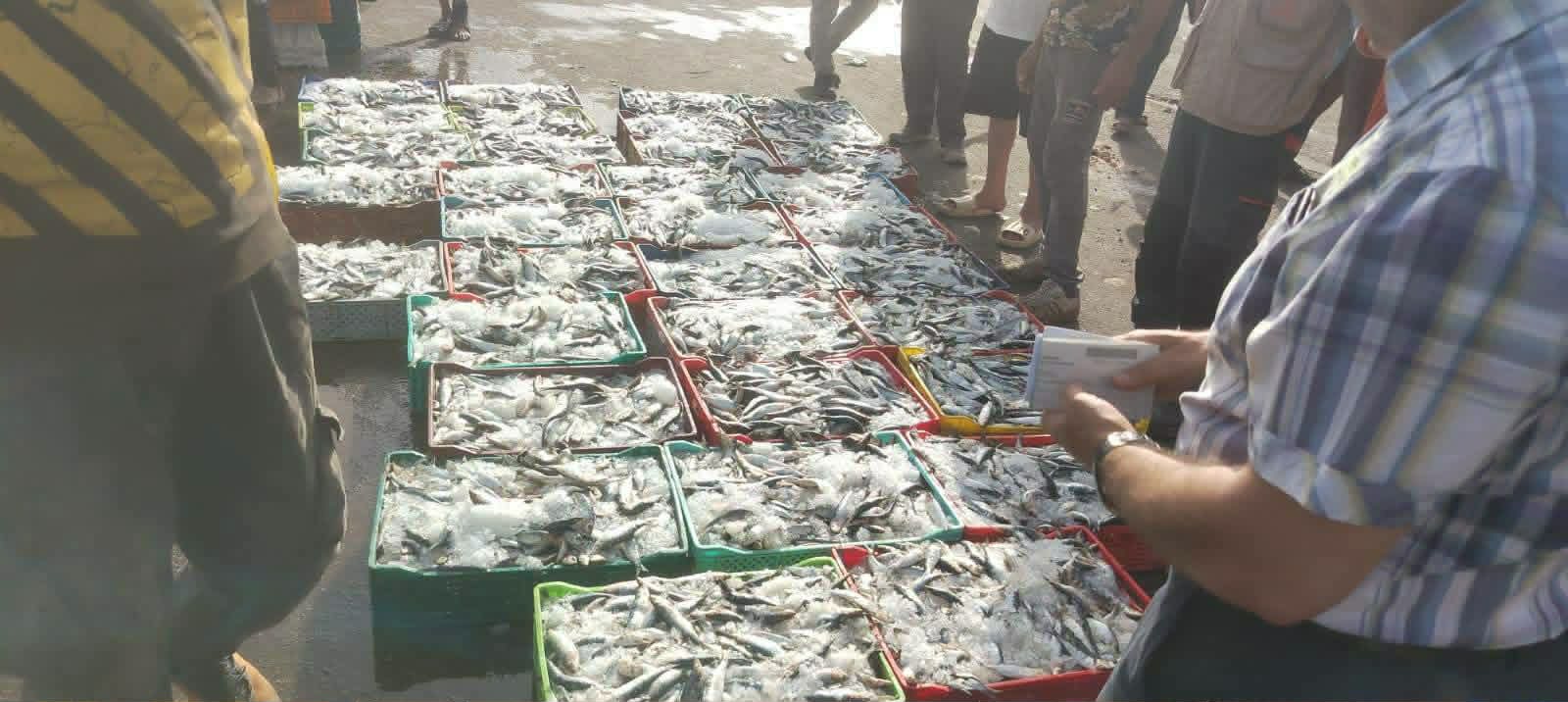 حجز وإتلاف أكثر من طن من السردين الفاسد