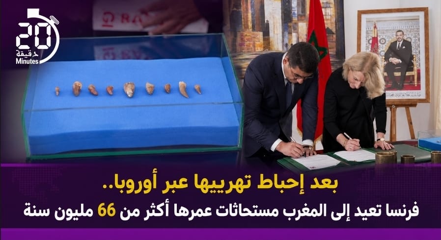 بعد إحباط تهريبها عبر أوروبا.. فرنسا تعيد إلى المغرب مستحاثات عمرها أكثر من 66 مليون سنة