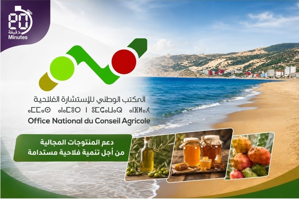 السعيدية تحتضن الدورة الـ11 للمعرض الجهوي للمنتوجات المجالية