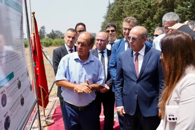 العرائش.. مشاريع فلاحية جديدة بـ700 مليون درهم لفائدة أكثر من 7 آلاف فلاح