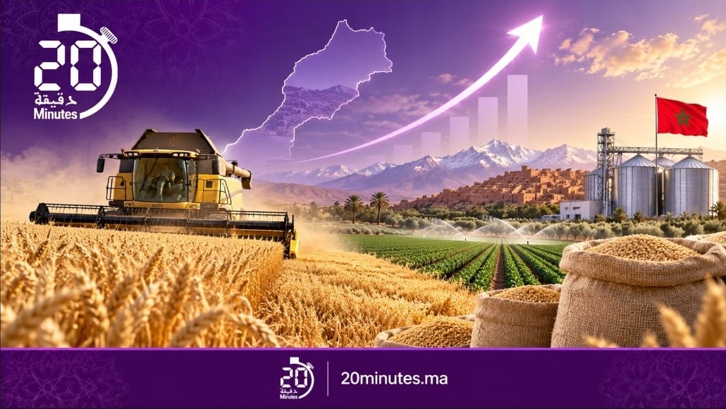 70 مليون قنطار سنويا.. توقعات بارتفاع القيمة المضافة الفلاحية إلى 4,3%