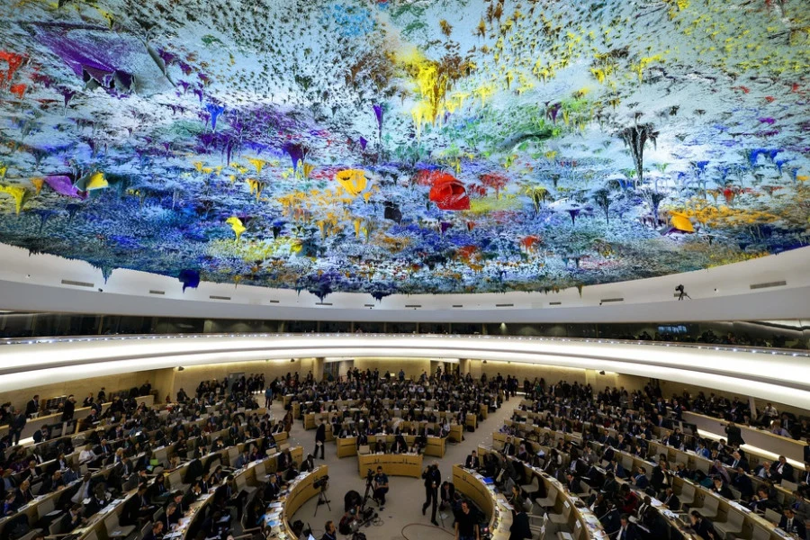 الأمم المتحدة تنتخب 15 عضوا جديدا في مجلس حقوق الإنسان