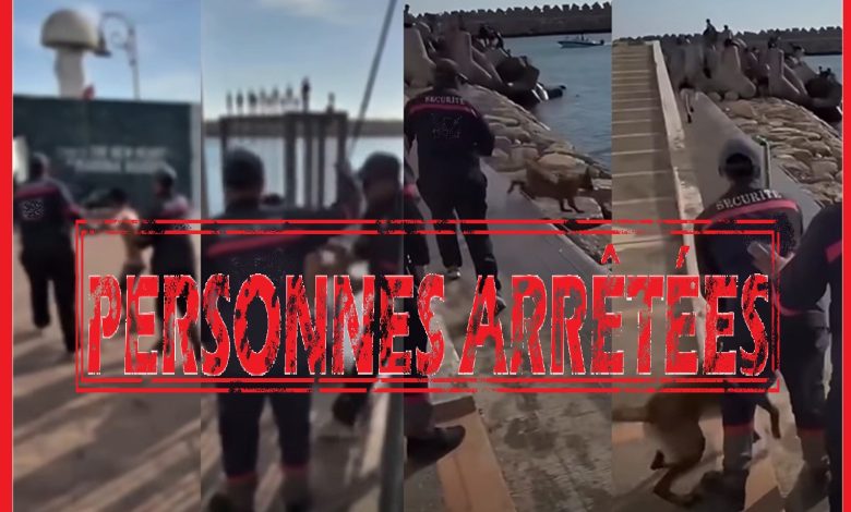 إحالة حارسين خاصين على النيابة العامة للاشتباه في تعنيف قاصر وتهديد أطفال بكلب شرس